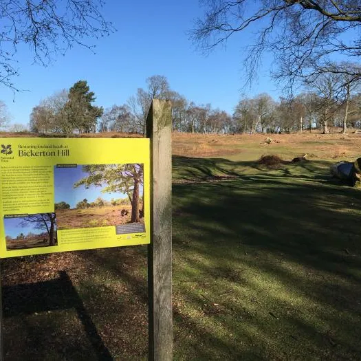 Bickerton hill
