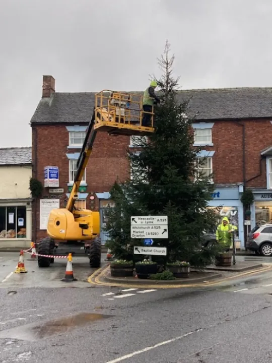 ADAS tree -erecting