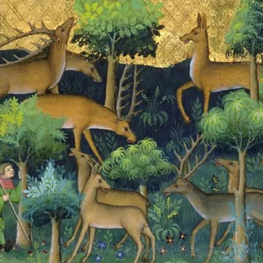 medieval deer hunt