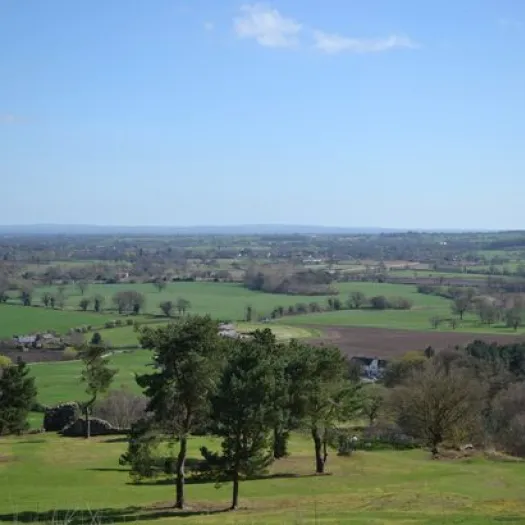 View from Ridge