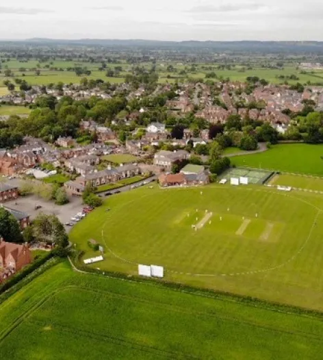 Cricket Pitch
