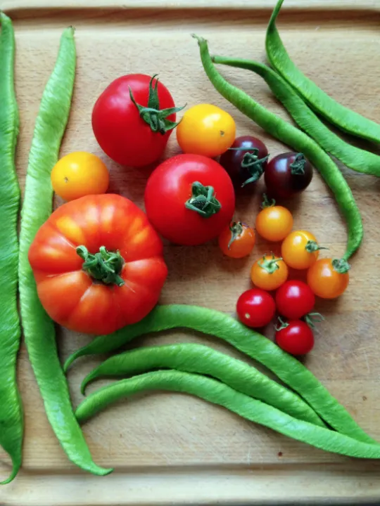 ACER Vegetables