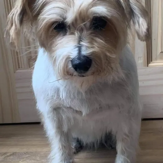 tilly-M564626-webp