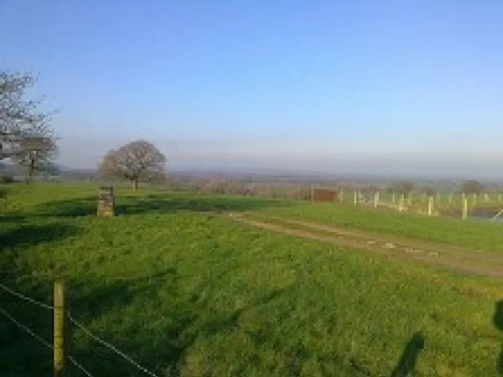 Bulkeley & Ridley Countryside 2