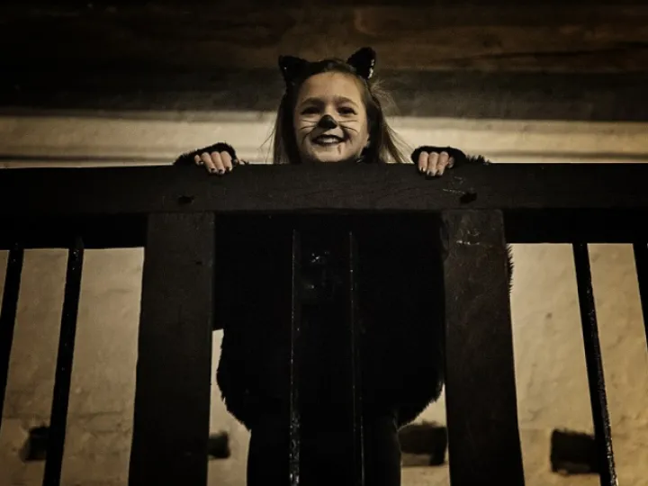 Halloween At Tatton Park Old Hall   Low Res (1)