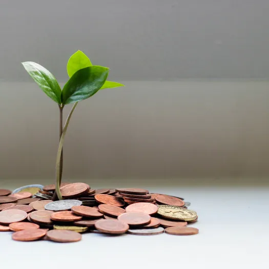 Grant funding