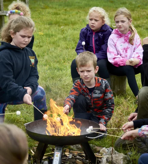 Toasting Marshmallows