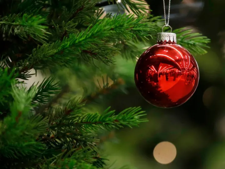 Christmas red Bauble on tree