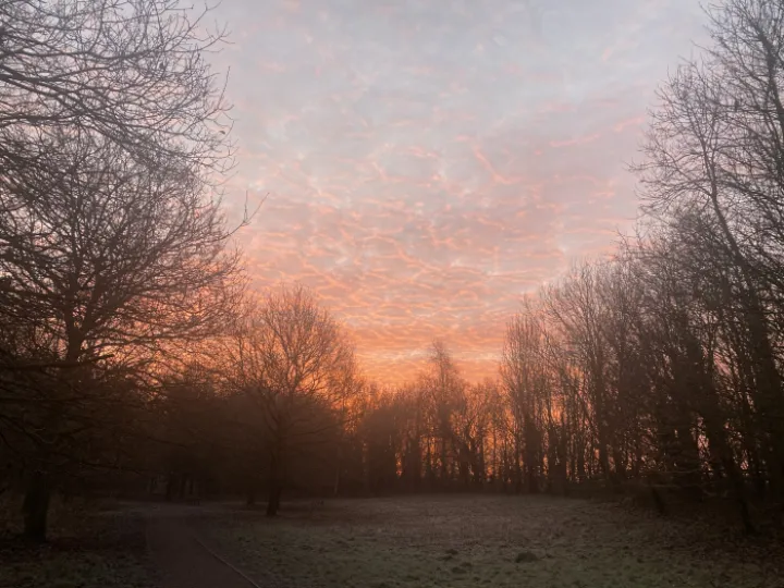 Tarvin Sunrise 140122 &ndash; 4