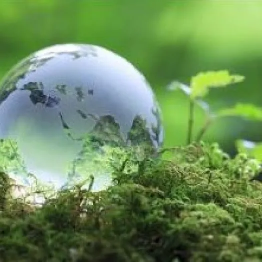 Eco Church 2