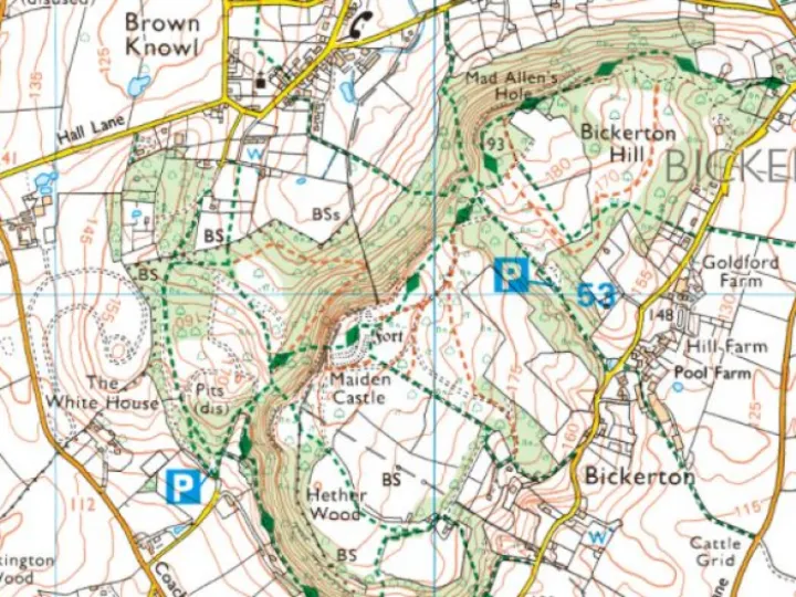 OS Bickerton Hill