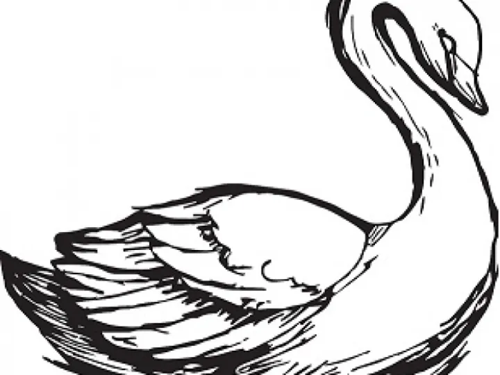 Swan Logo j