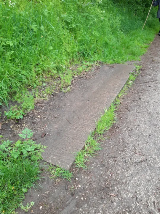 Missing Canal Bench