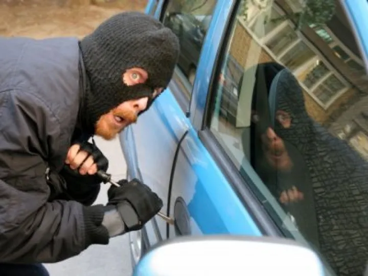 Car Thief 01
