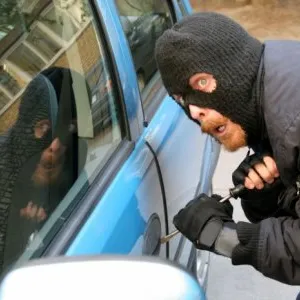 Car Thief 02
