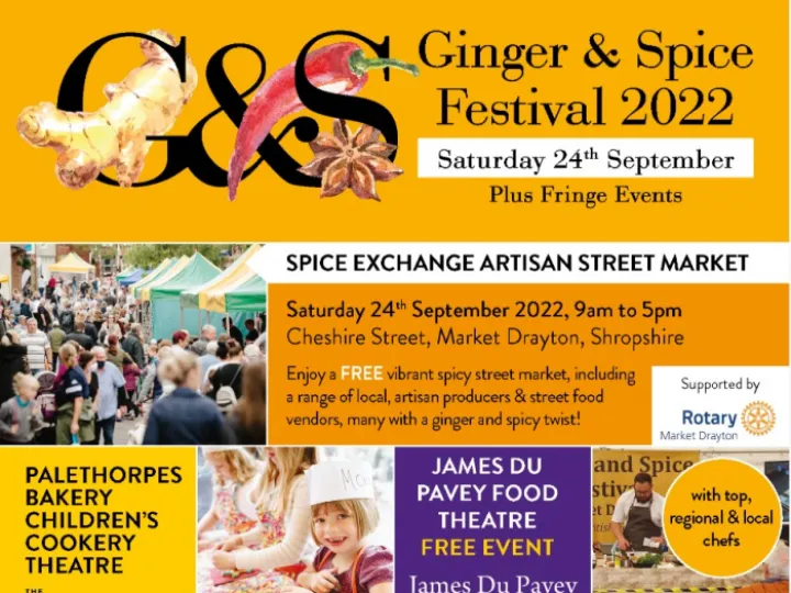 ginger 1