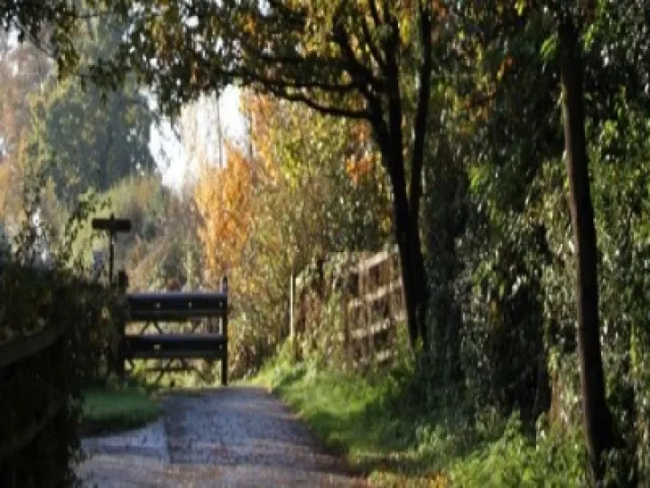 Woodland walk long