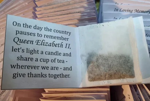 teacup2