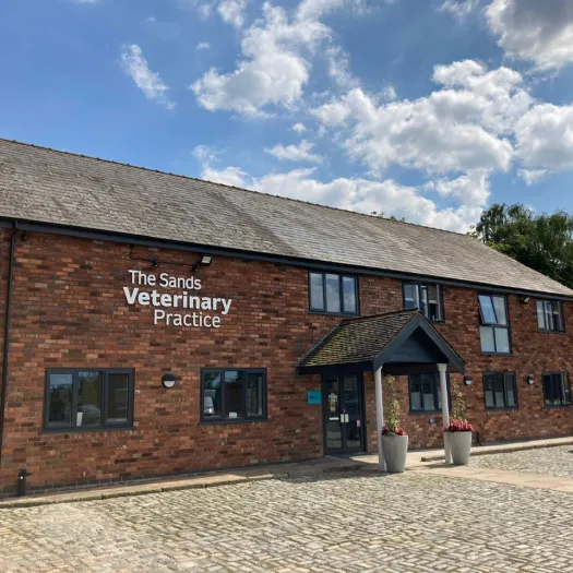 Sands vets 1