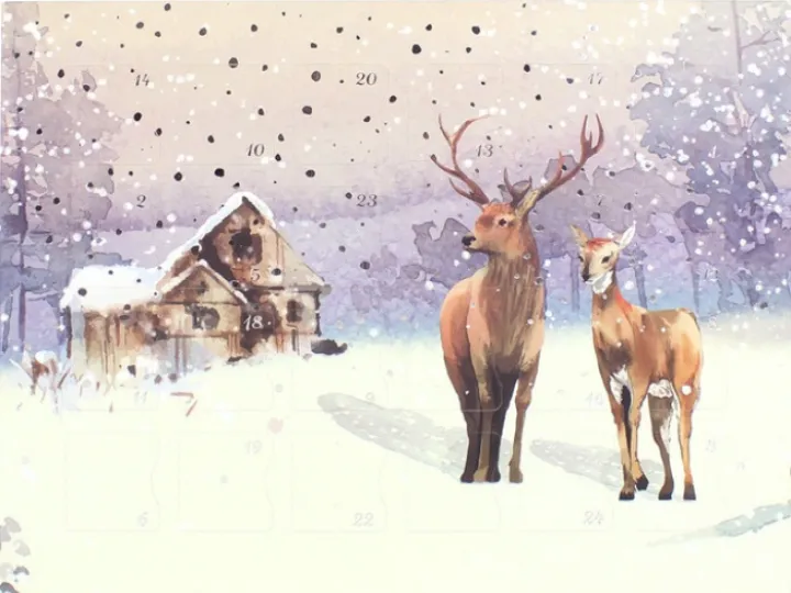 lll advent 5