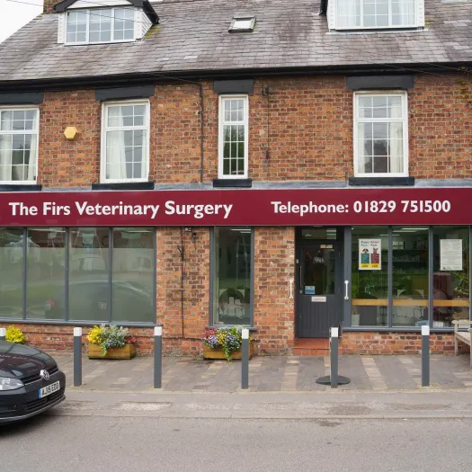 The Firs vets outside