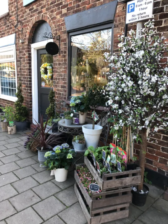 Boutique and Blooms