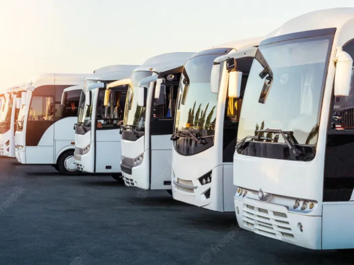 buses