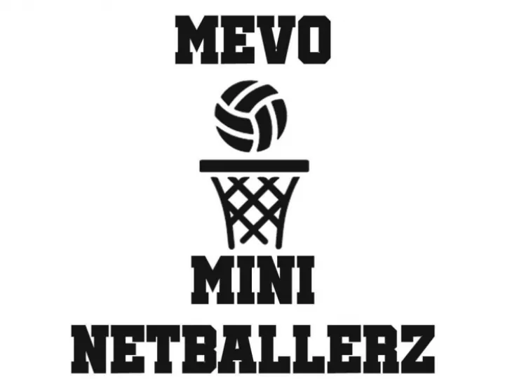 Mini Netball Z