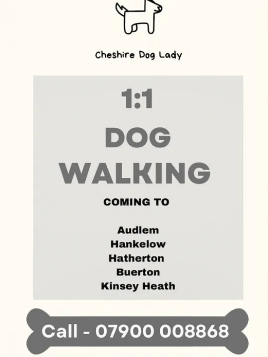 Dog Walking