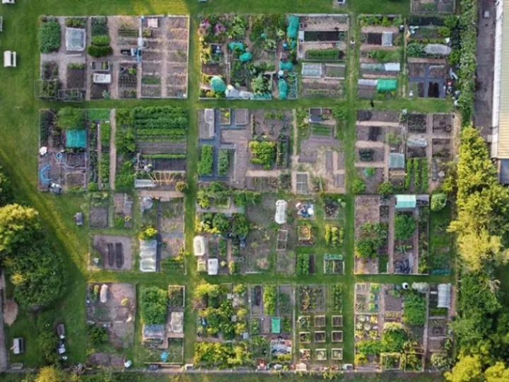 Allotment view