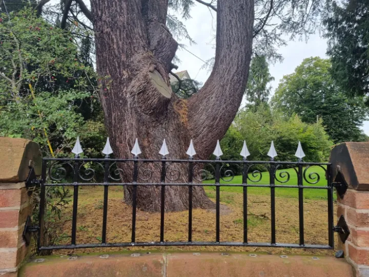 Dez Railings 5