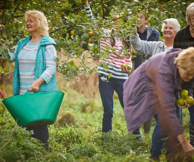 elswick-residents-picking-apples