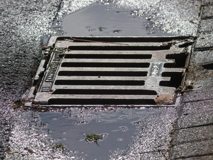 Drain cover