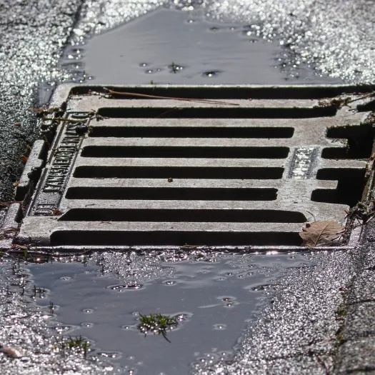 Drain cover
