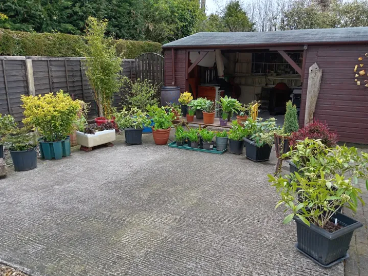 Plant sale