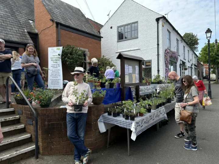 Plant Sale 6
