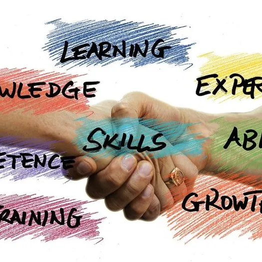 Skills, professional development, competence