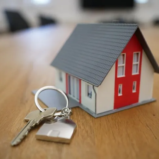 Build a house, house for sale, house for rent
