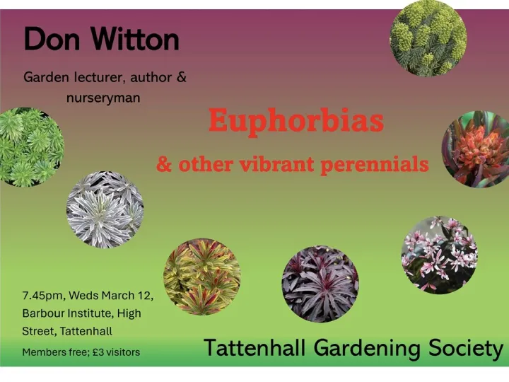 March 25 talk