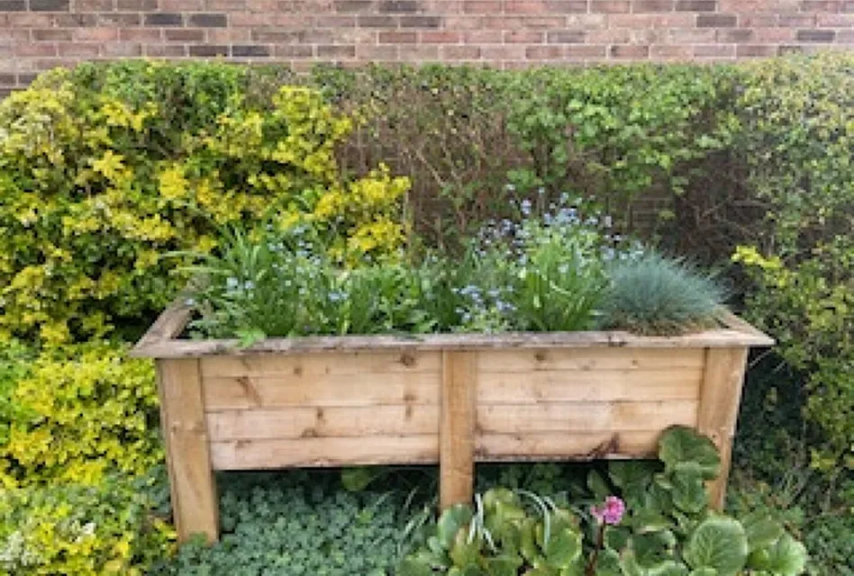 Merrow Community Garden April 25