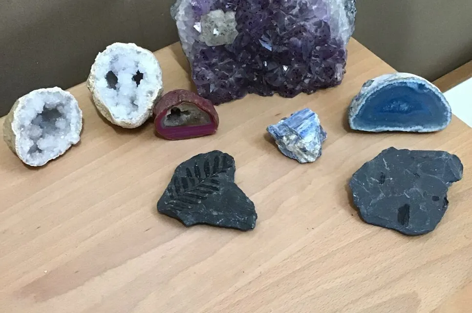 Fossils and crystals
