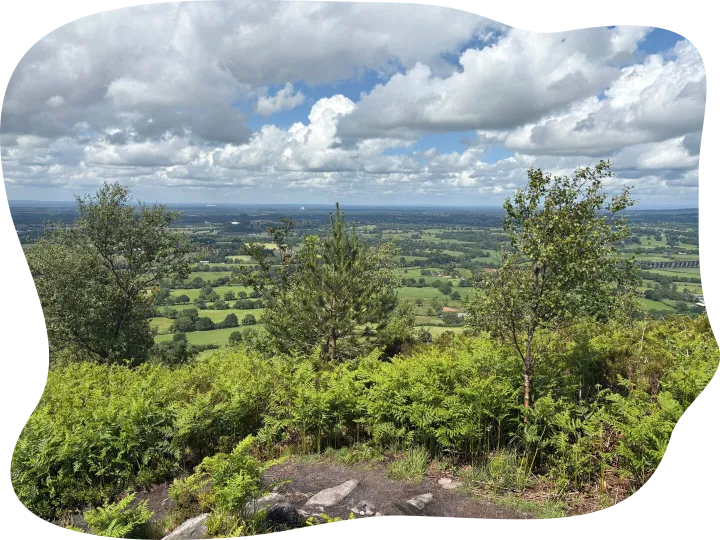 Expansive view of green countryside from