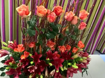 Flower Club Jan 2017 Wp_20170111_21_31_33_pro