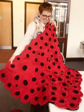 Haughton poppies