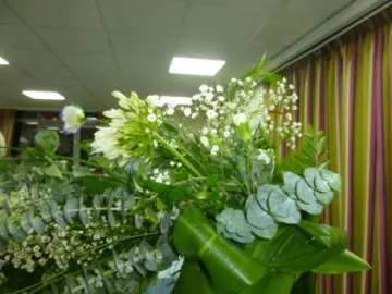 FC Feb 2020 (part of cascade)