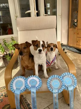 Momo, Izzy and Maya