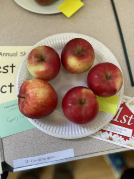 CAF430E7-2445-4901-9AF0-658E0A716534