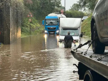 Eb360bee 2b75 40c7 9566 398c23ba00f5