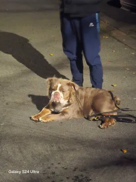 Whatsapp Image 2025-11-24 At 17