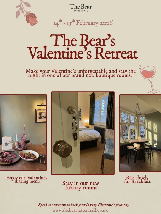 The Bear Valentines Day